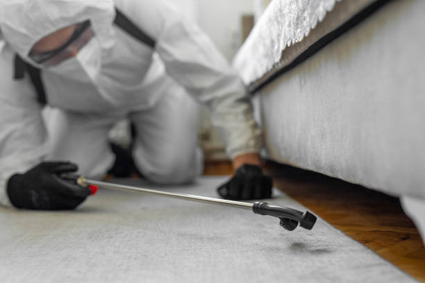 Professional Termite Control technician working in Wood River, NE