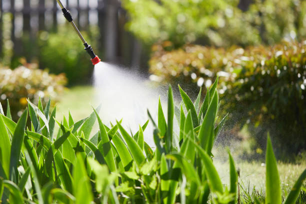 24/7 Emergency Termite Control experts in Wood River, NE