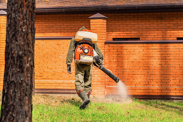 Trusted Cockroach Control service in Wood River, NE - Nex Pest Control